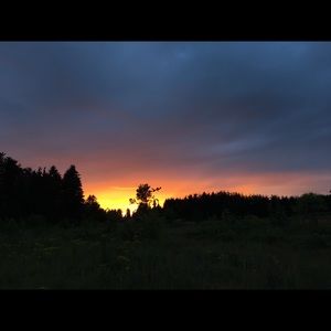 Meet your Posher, Kailei